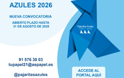 Convocada la 10ª edición de Pajaritas Azules 2026